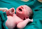 Neonatal Hypoglycemia and Bradycardia Risk Increased With Beta-Blocker Exposure Neonatal Hypoglycemia and Bradycardia Risk Increased With Beta-Blocker Exposure