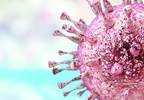 Expert Q&A: Association Between Cytomegalovirus and CVD in Rheumatoid Arthritis Expert Q&A: Association Between Cytomegalovirus and CVD in Rheumatoid Arthritis