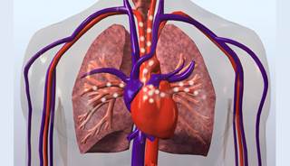 Patients with cardiovascular disease are three times more likely to develop depression, which makes mental health monitoring critical. Patients with cardiovascular disease are three times more likely to develop depression, which makes mental health monitoring critical.