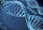 Hypocretin/Orexin Receptor-2 May Play a Role in the Treatment of Heart Failure Hypocretin/Orexin Receptor-2 May Play a Role in the Treatment of Heart Failure