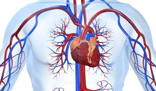 Patients with RA had a much shorter mean time from start of dialysis to any incident CVD event. Patients with RA had a much shorter mean time from start of dialysis to any incident CVD event.