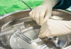 FDA Approves Transcatheter Heart Valves in Intermediate-Risk Patients FDA Approves Transcatheter Heart Valves in Intermediate-Risk Patients