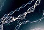 Fewer Than 2% of Severe Hypercholesterolemia Cases Related to Familial Hypercholesterolemia Fewer Than 2% of Severe Hypercholesterolemia Cases Related to Familial Hypercholesterolemia