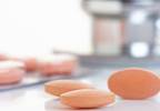 Ovarian Cancer in T2D: No Link Between Metformin or Statins Ovarian Cancer in T2D: No Link Between Metformin or Statins