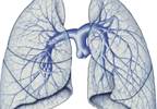Endothelin Receptor Antagonist Therapy Less Effective for SSc-related PH Endothelin Receptor Antagonist Therapy Less Effective for SSc-related PH