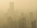 Respiratory Emergency Department Visits Linked to Poor Air Quality Respiratory Emergency Department Visits Linked to Poor Air Quality