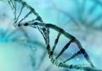 Coronary Artery Disease and Serum Calcium Levels: Is There a Genetic Connection? Coronary Artery Disease and Serum Calcium Levels: Is There a Genetic Connection?