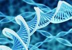 ARVD/Cardiomyopathy: Interview with Expert Hugh Calkins, MD ARVD/Cardiomyopathy: Interview with Expert Hugh Calkins, MD