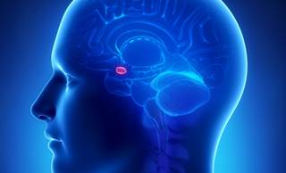Chronic stress identified as risk factor for cardiovascular disease. Chronic stress identified as risk factor for cardiovascular disease.