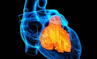 The study examines the association between 25-hydroxy-vitamin D (25(OH)D) serum levels and cardiovascular risk factors in patients with JIA vs healthy controls. The study examines the association between 25-hydroxy-vitamin D (25(OH)D) serum levels and cardiovascular risk factors in patients with JIA vs healthy controls.