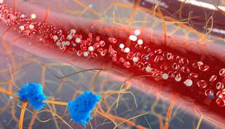Bleeding risk in apixaban was studied vs rivaroxaban or dabigatran. Bleeding risk in apixaban was studied vs rivaroxaban or dabigatran.