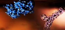 No association with ICH; within HDL, cholesterol inversely and triglyceride positively linked to MI No association with ICH; within HDL, cholesterol inversely and triglyceride positively linked to MI
