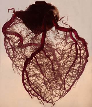 Although adults with diabetes have experienced a large overall reduction in the risk for cardiovascular disease mortality, diabetes still increases the risk for mortality. Although adults with diabetes have experienced a large overall reduction in the risk for cardiovascular disease mortality, diabetes still increases the risk for mortality.