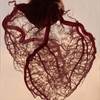 Cardiovascular Risk Factors in Cross-Sex Hormone Therapy: Expert Opinion Cardiovascular Risk Factors in Cross-Sex Hormone Therapy: Expert Opinion