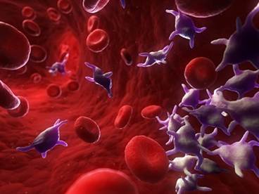 FDA Approves New DNA-Based Test to Verify Blood Compatibility FDA Approves New DNA-Based Test to Verify Blood Compatibility
