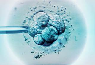 More research needs to be conducted to determine the cardiovascular effects of fertility treatments. More research needs to be conducted to determine the cardiovascular effects of fertility treatments.