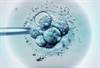 Assessing Inequalities in Infertility Care Among Women Assessing Inequalities in Infertility Care Among Women