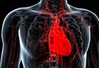SHPT May Predict Left Ventricular Diastolic Dysfunction SHPT May Predict Left Ventricular Diastolic Dysfunction