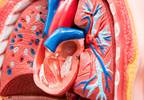Predicting Mortality in PAH With Congenital Heart Disease Predicting Mortality in PAH With Congenital Heart Disease