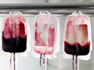 Each donation, each day, makes a difference. Each donation, each day, makes a difference.