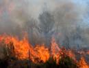 Wildfire Smoke Causing Poor Air Quality in US Pacific Northwest Wildfire Smoke Causing Poor Air Quality in US Pacific Northwest