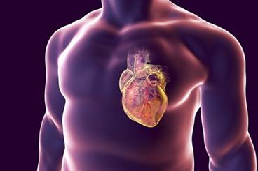 AHA Introduces Heart Failure Certification Program AHA Introduces Heart Failure Certification Program