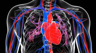 A protocolized study including initiation of VA-ECMO may reduce mortality in patients with massive PE. A protocolized study including initiation of VA-ECMO may reduce mortality in patients with massive PE.