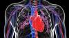 Cardiovascular Outcomes in Patients With ACS, Diabetes Using Alirocumab Cardiovascular Outcomes in Patients With ACS, Diabetes Using Alirocumab