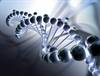 CVD Risk Independently Predicted by Poor Lifestyle Factors CVD Risk Independently Predicted by Poor Lifestyle Factors