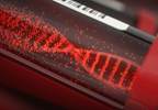 Genetic Testing Recommended for Familial Hypercholesterolemia Genetic Testing Recommended for Familial Hypercholesterolemia