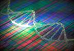 Triglyceride-Lowering Alleles Associated With Reduced Coronary Artery Disease Risk Triglyceride-Lowering Alleles Associated With Reduced Coronary Artery Disease Risk