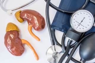 Study pooled data of all patients without chronic kidney disease from the ACCORD and SPRINT trials. Study pooled data of all patients without chronic kidney disease from the ACCORD and SPRINT trials.