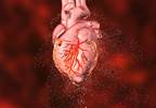 ACC Releases Recommendations for Treatment of Patients With T2D and ASCVD ACC Releases Recommendations for Treatment of Patients With T2D and ASCVD