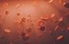 Reversal of Warfarin-Associated Bleeding With 4F-PCC Examined in Obese Patients Reversal of Warfarin-Associated Bleeding With 4F-PCC Examined in Obese Patients