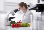 Food Supply in United States May Be at Risk Due to Government Shutdown Food Supply in United States May Be at Risk Due to Government Shutdown