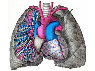 Patients with serositis at baseline were more likely to achieve treatment success with intensive immunosuppressive therapy. Patients with serositis at baseline were more likely to achieve treatment success with intensive immunosuppressive therapy.