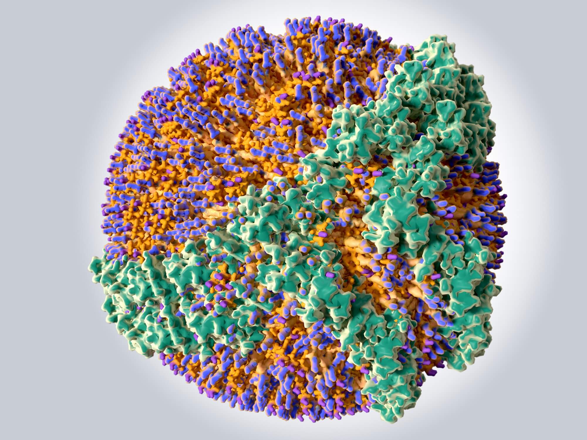 Low High Density Lipoprotein Concentration