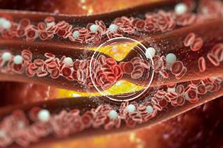 The majority of patients receiving enoxaparin had minor bleeding during surgery, which correlated with the ETP measurement. The majority of patients receiving enoxaparin had minor bleeding during surgery, which correlated with the ETP measurement.